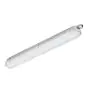 Philips Pantalla LED Estanca CoreLine WT120C G2 25.5W 2700lm - 840 Blanco Frio | 120cm - Luz De Emergencia 3 Horas