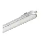 Philips Pantalla LED Estanca CoreLine WT120C G2 16W 1900lm - 840 Blanco Frio | 60cm - Dali Regulable